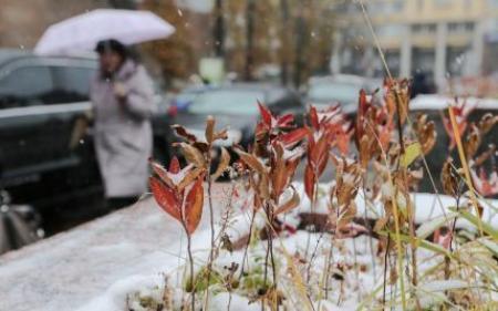 Синоптики попередили, коли закінчиться потепління в Україні