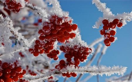 Оттепель и морозы до -23. Синоптик дал прогноз погоды в Украине до конца января