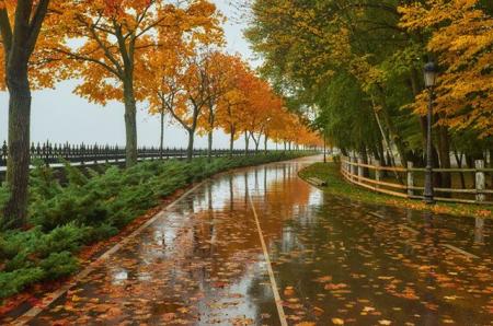 Ноябрь в Украине начнется с небольшого дождя, днем ​​до +17°