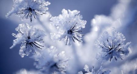 Багато снігу та люті морози до -21: якою буде погода в Україні до середини лютого