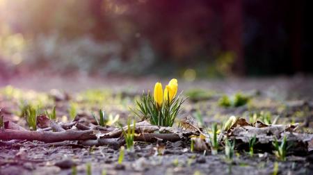 Прогноз погоди в Україні на 26-27 березня: якими будуть останні вихідні першого місяця весни