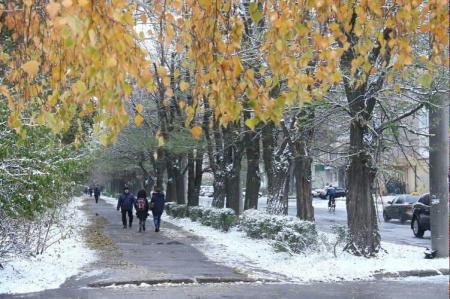 Снега можно не ждать? Синоптики дали прогноз на Новый год в Украине