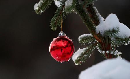 Зима в Украину придет по графику: синоптики рассказали, какой будет погода на Новый год и Рождество
