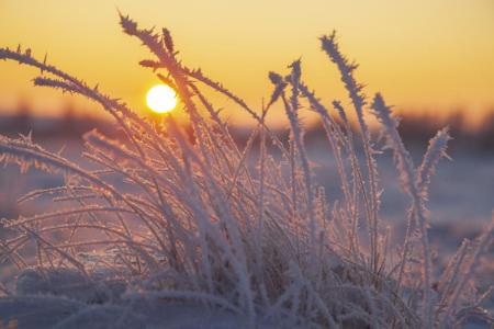 Во вторник Украину скуют сильные морозы: температура упадет до -15°