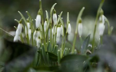 В Україну йде потепління: коли чекати на весняну 