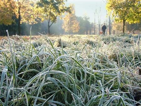 Синоптики спрогнозировали, когда в Украине ударят первые заморозки