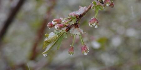 Заморозки и дожди с мокрым снегом. Синоптик прогнозирует холодную погоду в Украине на выходных