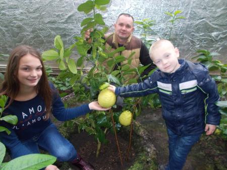Садовод из Черновицкой области нашел способ выращивать авокадо, кофе, имбирь и папайю