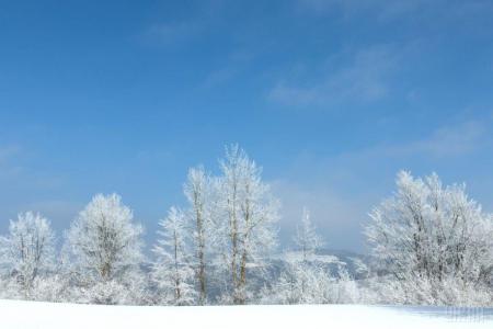 Морози не відступають: сьогодні вдень температура в Україні впаде до -11°