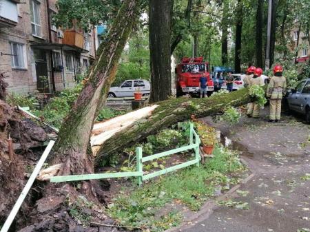 Спасатели 6 раз выезжали убирать поваленные деревья с дорог и авто