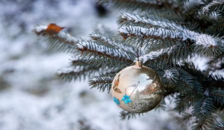 Снег и заморозки: в Украину вернулась настоящая зима