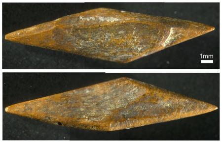 На Шри-Ланке нашли самые древние в Азии доисторические стрелы