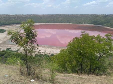 В Индии озеро за несколько дней изменило цвет