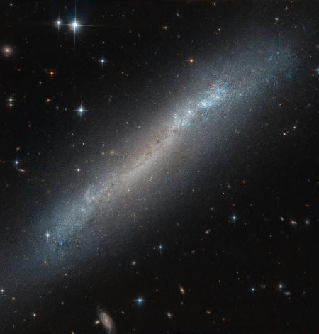 Hubble показал спиральную галактику в созвездии Голубь