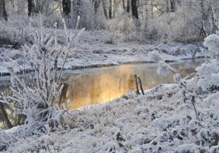 Небольшое потепление сменится морозами и снегом: синоптики дали прогноз до конца недели в Украине