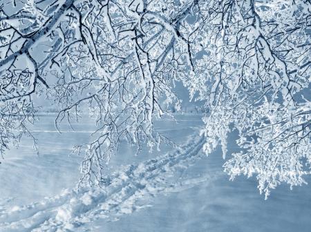 Похолодание будет усиливаться: синоптик рассказала, сколько в Украине продержатся морозы