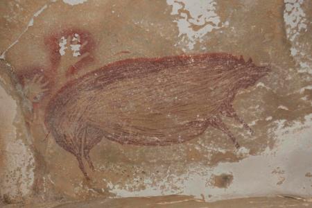 В Индонезии нашли рисунок свиньи, которому 45,5 тысячи лет