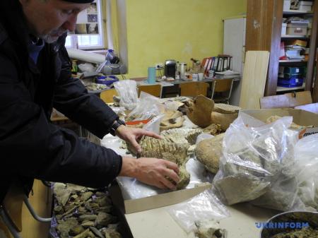 На Буковине обнаружили зуб мамонта, которому 300 тысяч лет