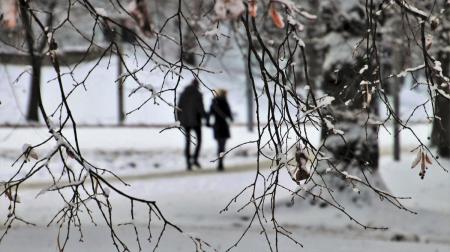 Синоптик рассказала, сколько будут продолжаться морозы и какая погода ожидается 25 декабря