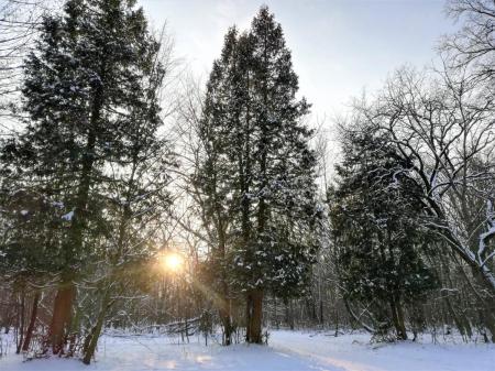 В четверг температура в Украине упадет до -16°: где будет холоднее всего