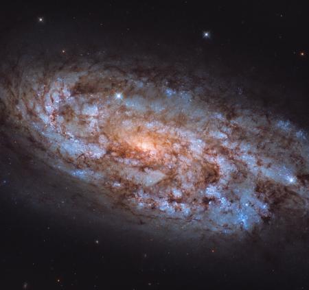  Hubble сделал снимок уникальной галактики в созвездии Голубя