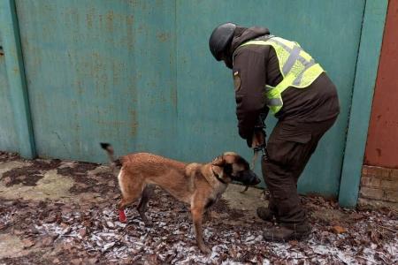 Служебный пес спас Нацгвардейцев и работников СБУ, обнаружив «растяжку» оккупантов