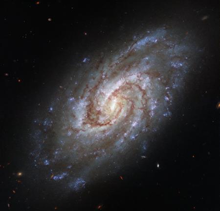 Hubble показал спиральную галактику в созвездии Часы