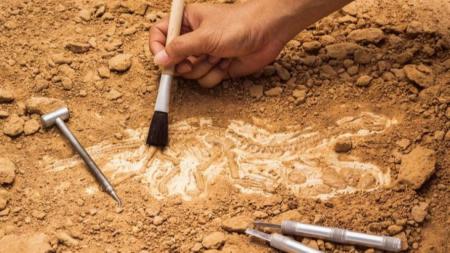 Сегодня 15 августа - День археолога