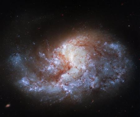 Hubble показал спиральную галактику в созвездии Печь