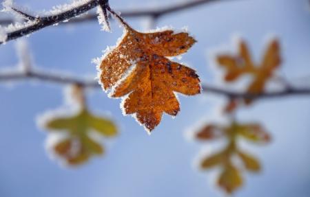Погода на вихідних 23–24 жовтня: від заморозків до бабиного літа