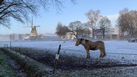 У Нідерландах перший сніг вкрив частину країни