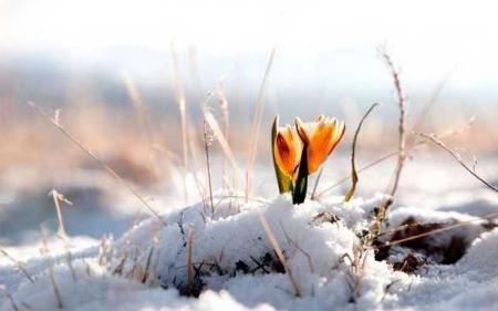 В Украину возвращаются двузначные морозы: где ожидать похолодание