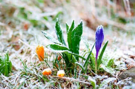 Украину на этой неделе прогреет до +19°, но с дождями и заморозками