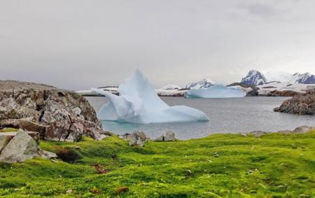 Майже 13 градусів тепла: в Антарктиді оновлений температурний рекорд