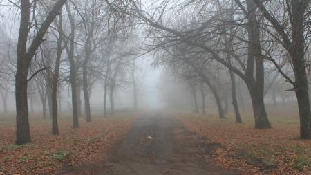 В Украине сегодня без осадков, местами туман