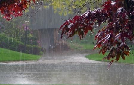 Синоптики предупреждают о сильных дождях, грозах, шквалах