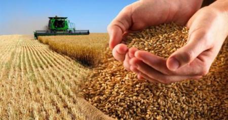 Украина уменьшила экспорт зерна, рынки нервничают 