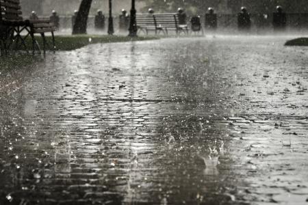Метеорологи предупреждают об ухудшении погодных условий в Украине 10 августа