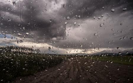 Дощі, холодно та вітряно: у яких регіонах України чекати на погіршення погоди