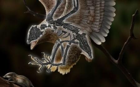 Палеонтологи виявили у Китаї птаха з головою динозавра
