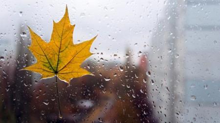 Много дождей и перепады температур: каким будет начало ноября в Украине