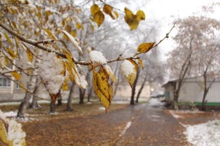 Потепління, снігопади та дощі: на українців незабаром чекає різка зміна погоди