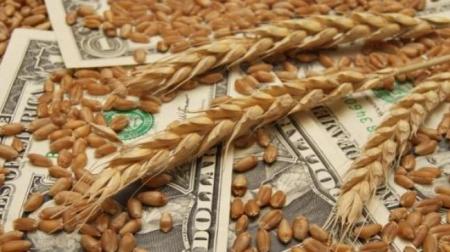 354_Ykraina_Agro_29.08.18