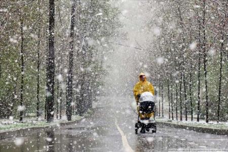 Февраль в Украине начнется со снегопадов и морозов