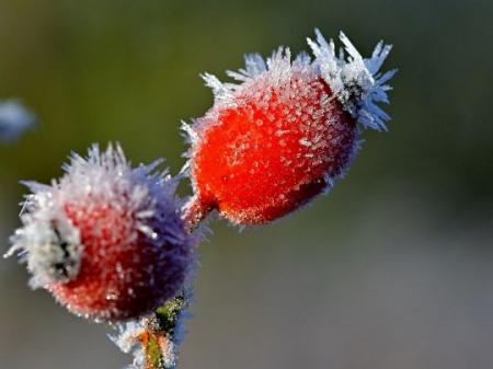 Морозы днем. В Украину идет резкое похолодание: синоптики назвали дату