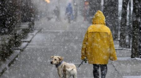 Погода в Украине начнет меняться: потепление, дождь с мокрым снегом