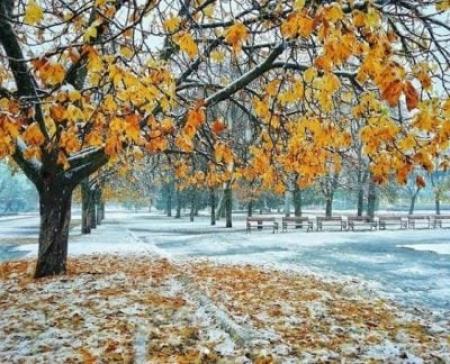 Два дня зимы, морозы и дожди: в Гидрометцентре уточнили прогноз погоды на последнюю неделю осени