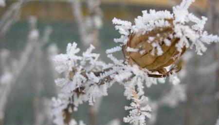 В Украину идут морозы до -10 градусов: прогноз по областям