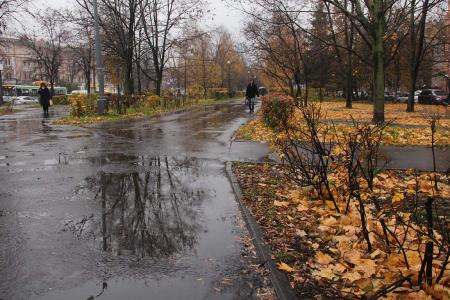 На смену морозам в Украину идут дожди: где понадобится зонт