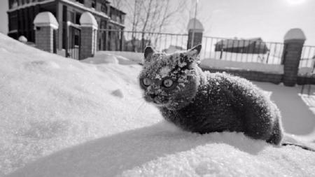 Морозы до минус 15°: синоптик рассказал, когда в Украину придет похолодание